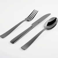 The Sambonet Flat PVD Flatware 5 Piece Setting in Black showcases a knife, fork, and spoon with modern, sleek lines and smooth, slightly curved handles—all arranged side by side against a white background.