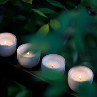 Four Blueme Travel Votive candles from the 4 Piece Set—Romance, Spiritual, Happiness, and Renew—glow in handcrafted ceramic holders on a dark surface, partially hidden by green leaves for a calm and serene vibe.