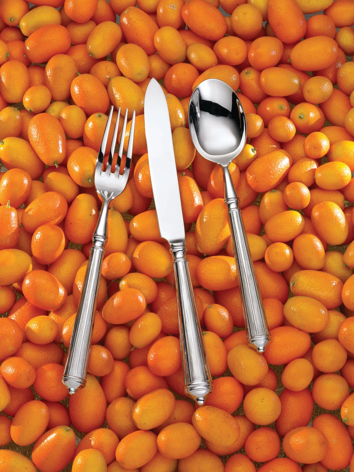 Ricci's Rialto Flatware 5-Piece Setting rests on a bed of kumquats.