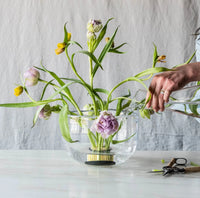A person waters purple and yellow tulips arranged in a handmade Burlington Bowl by Simon Pearce on a white surface, with gardening shears and twine nearby.