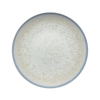 The Song Dinnerware Perle - Agoro plate by Jaune De Chrome is a round, high-fired porcelain piece with a speckled white and gray surface and blue-gray rim, shown from above on white—ideal for an elegant table setting.