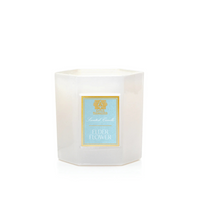 A white hexagonal botanical candle jar from Antica Farmacista/Harper features a light blue label reading "Scented Candle" and "Elderflower Candle." This unlit product sits against a plain white background.