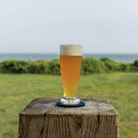 A Simon Pearce Ascutney Pilsner Glass with a frothy head rests on a wooden post, ideal for beer lovers, set against a green field and ocean backdrop beneath a clear sky.