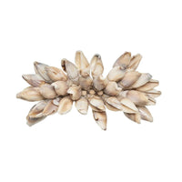 The Shell Fringe Napkin Ring Set of 4 by Kim Seybert features beaded shells in light brown and cream, clustered in a flower-like design—ideal for adding a beach-inspired accent to your table setting.