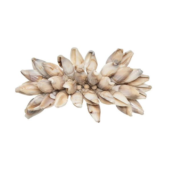 The Shell Fringe Napkin Ring Set of 4 by Kim Seybert features beaded shells in light brown and cream, clustered in a flower-like design—ideal for adding a beach-inspired accent to your table setting.