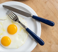 Two fried eggs on a white plate with Sabre Basic Flatware 5 Piece Setting by Sabre, featuring blue acrylic handles and modern design, placed on a wooden surface.