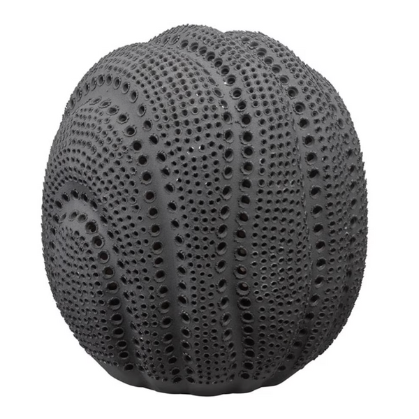 The Solar Sphere - Black by Jamie Young is a round, black sea urchin-inspired piece with a bumpy texture and rows of small holes, resembling a celestial vase or intricate decorative ceramic.