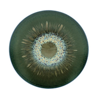 Cyclone Dinnerware by Jaune De Chrome is a round ceramic plate with a dark green glaze, radiating pattern, and speckled blue-beige center, evoking an abstract sunburst or eye motif.
