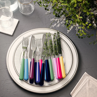 A set of Capdeco Altea Flatware 5 PPS with glossy handles is arranged on stacked plates beside glasses, a napkin, and a green leafy plant atop a gray tablecloth.
