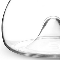 A close-up of the Georg Jensen Wine & Bar Carafe, featuring a clear glass design with a smooth, raised dome-shaped base, set against a white background.