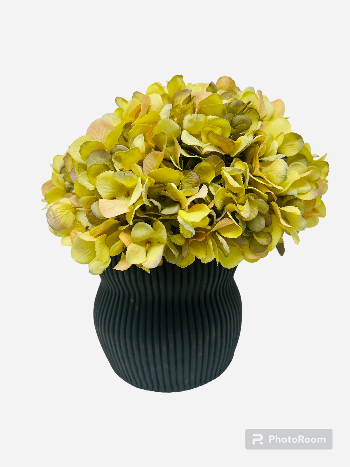 A bouquet of yellow-green hydrangeas arranged in the Curvy Round Vase Black by CYM Warkov Ceramics, showcased against a white background.