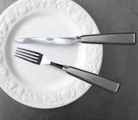 A white ceramic plate with embossed fruit designs holds Sabre’s Icone Flatware 5 Piece Setting—18/10 stainless steel fork and knife with dark handles—angled on a dark gray surface, ideal for any icon collection.