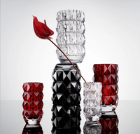 Five faceted glass vases, including the Baccarat Louxor Round Vase Black, are arranged on a reflective surface. One clear vase displays a red anthurium with a long stem against a plain white background.