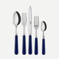 The Sabre Basic Flatware 5 Piece Setting by Sabre features stainless steel utensils with blue acrylic handles—tablespoon, dinner fork, dinner knife, salad fork, and teaspoon—displayed side by side on a white background.