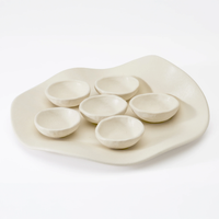 The Dumae Evie Seder Plate features an off-white, organically shaped handmade plate with six matching round ceramic bowls. Its minimalist, modern design makes it a stylish contemporary Passover Seder plate. Shown on a plain white background.