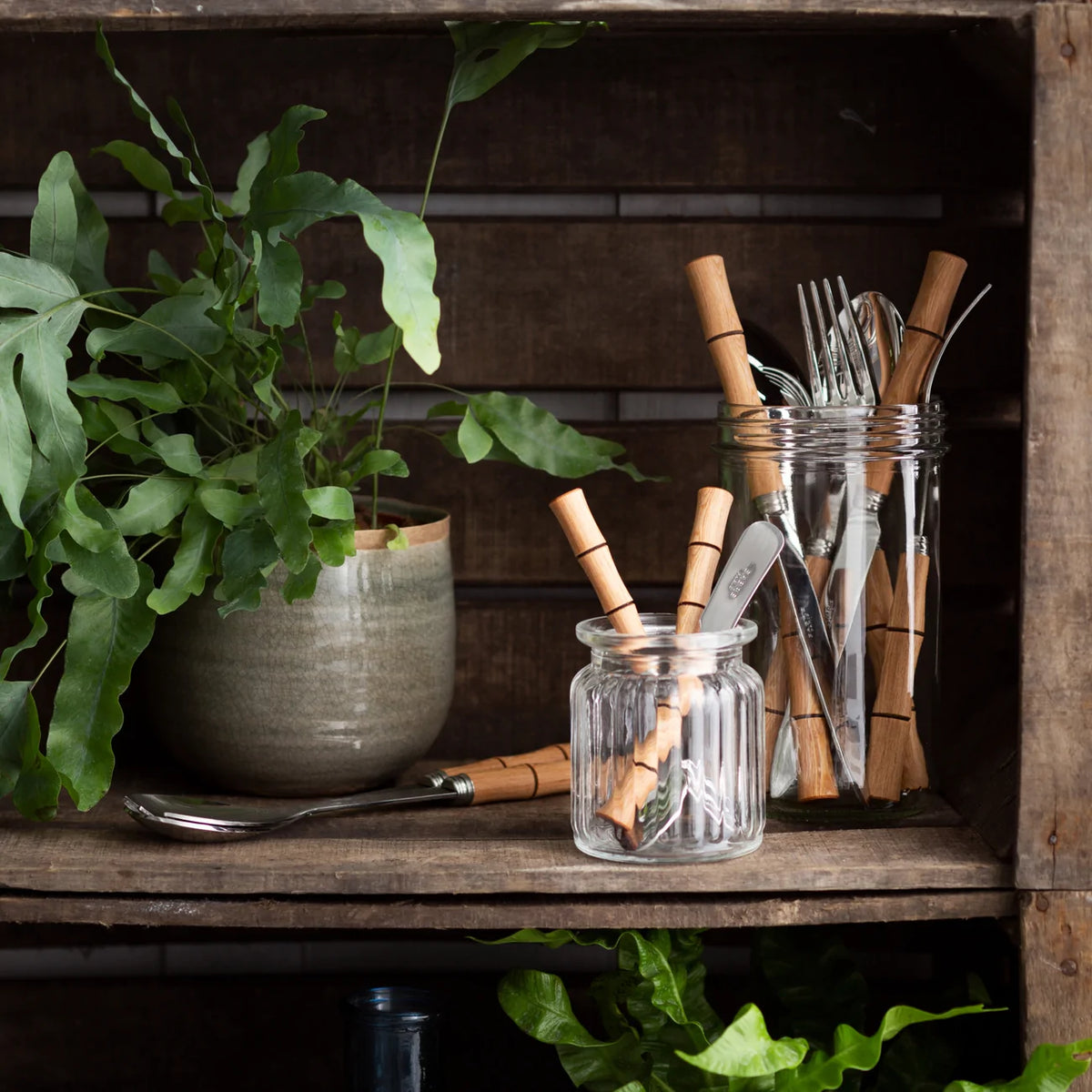 A rustic wooden shelf holds a potted fern and glass jars with Sabre Bamboo Flatware 5 Piece Setting, featuring bamboo-style handles, surrounded by green foliage.