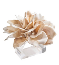 The Kim Seybert Dahlia Napkin Ring Ivory Set of 4 features layered, glossy beige petals in a sculpted design, shown on a clear rectangular acrylic base against a white background.