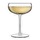 A coupe glass from the Luigi Bormioli Talismano Bar Collection Sets holds light golden sparkling wine with a delicate layer of bubbles on top.