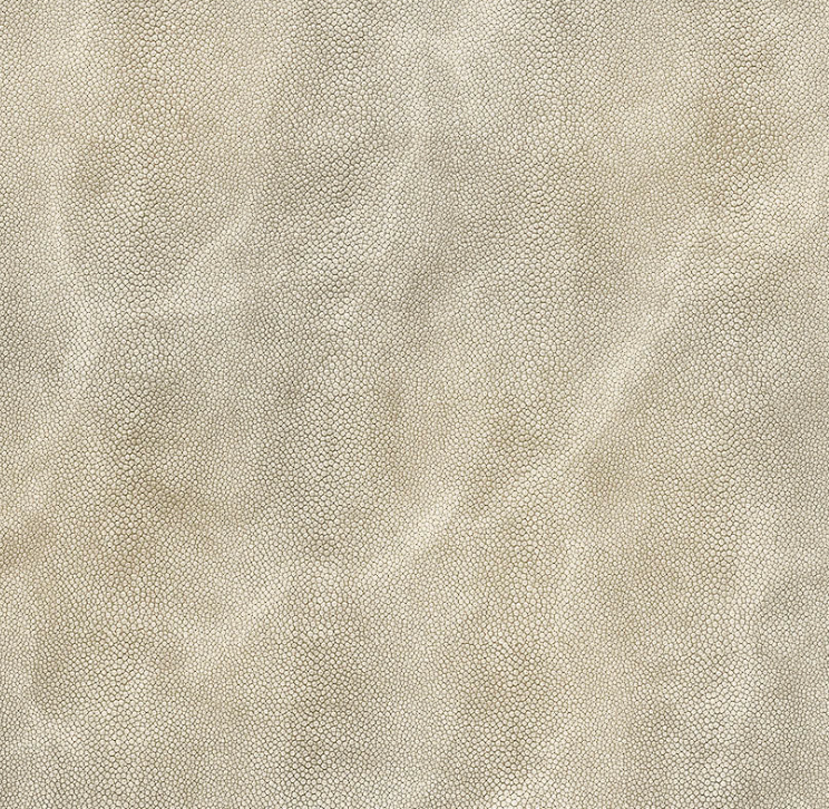 Close-up of textured beige leather with subtle, uneven grain and a slightly mottled look, featured on Bodrum's Stingray Handle Tray with sleek silver handles, highlighting natural variations in color and pattern.