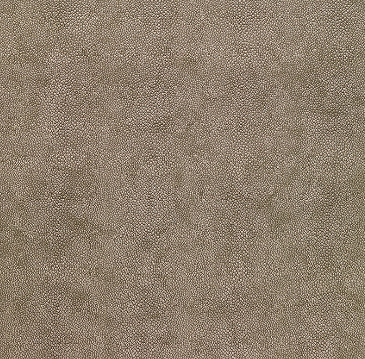 Close-up of Bodrum's Stingray Handle Tray, showing its textured surface with small, raised dots in a repeating pattern, reminiscent of shagreen often found on elegant trays.