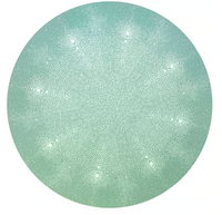 The Shagreen Placemat by Tisch New York features a circular, pale green textured pattern with small white spots and a radiating dotted surface, evoking the look of a sea urchin shell in a striking, symmetrical design.